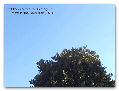 d0020828_1623518.gif