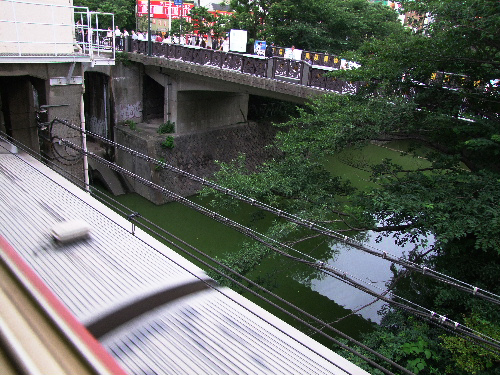 「神楽坂 +81 RESTAURANTの京野菜和食」_a0000029_1392545.jpg