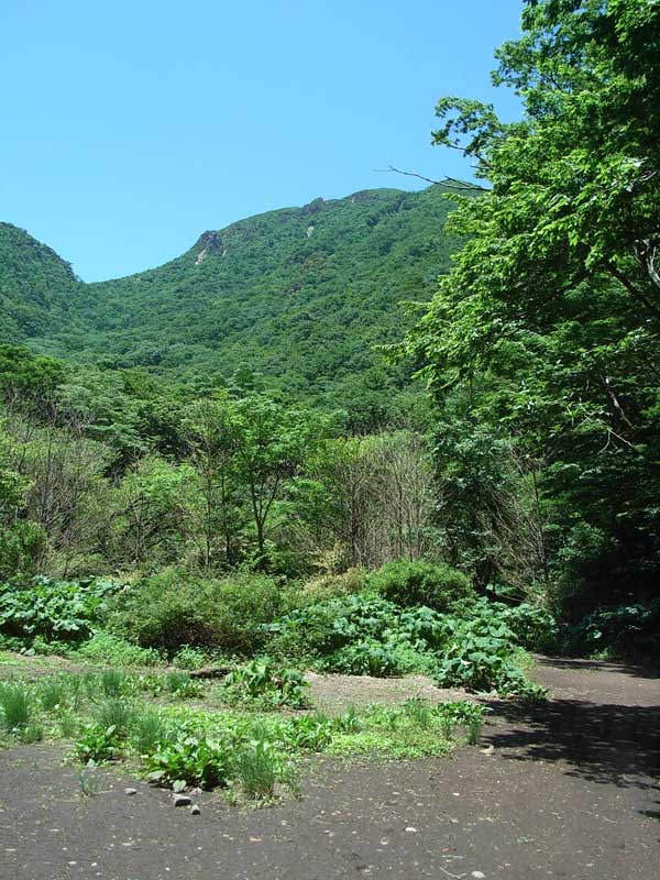 c0047341_933827.jpg