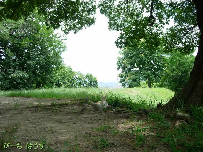 a0095546_15414155.jpg