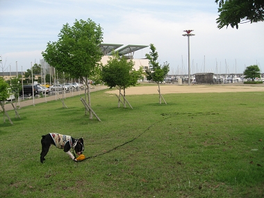 e0126046_22592351.jpg