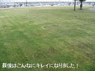 e0126046_23262488.jpg