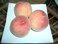 d0080547_16192260.jpg