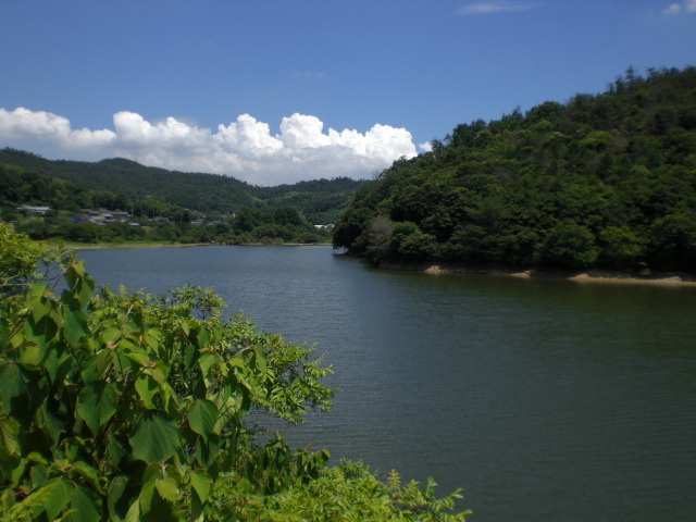 b0152548_17301826.jpg