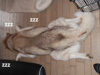 e0121548_16334012.jpg