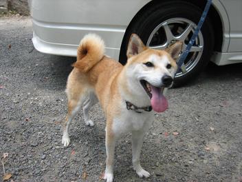 お隣の県から2連発~♪_c0049950_10501276.jpg
