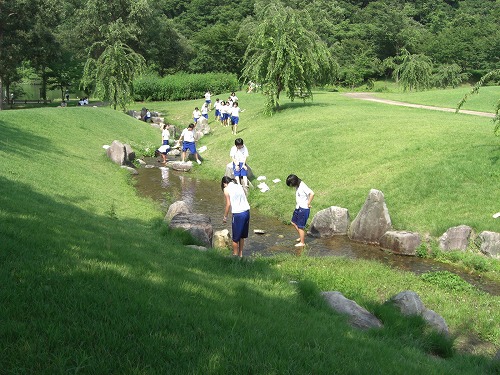 六日町の坂戸銭淵公園の夏_a0084753_16585612.jpg