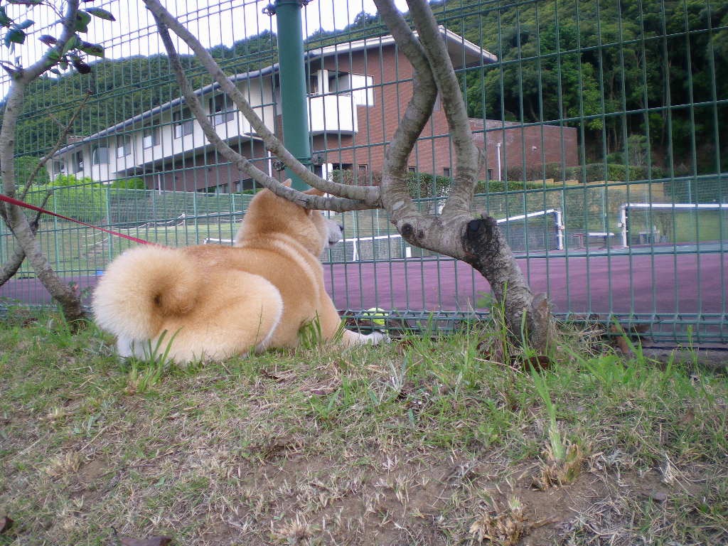2008年7月17日(木)愛ちゃんと夏本番!_f0060461_14382494.jpg