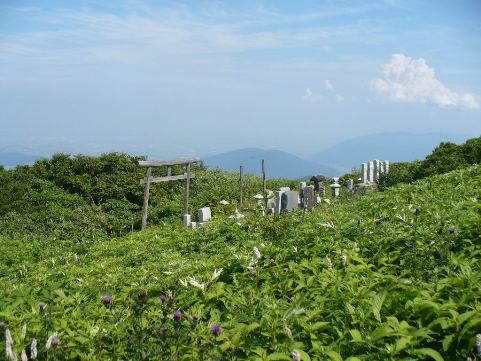 2008年７月１７日（木）　伊吹山３_a0063364_2327522.jpg