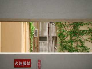 c0089792_1932831.jpg