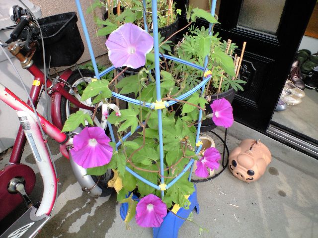 f0042295_20342773.jpg
