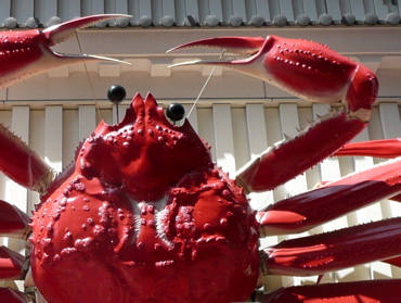 f0146198_13202773.jpg