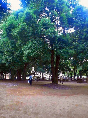 a0024005_1653048.jpg