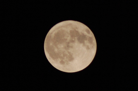 c0143411_22295730.jpg