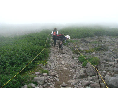 黒岳登山2　動物たち_e0048413_22462127.jpg
