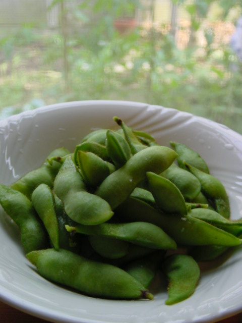 f0070713_1730483.jpg