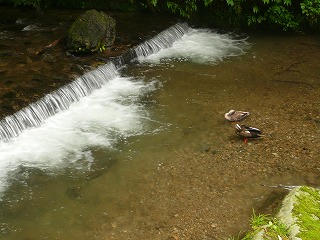 京都“貴船・鞍馬”日帰り旅行(2)_a0101716_2133596.jpg