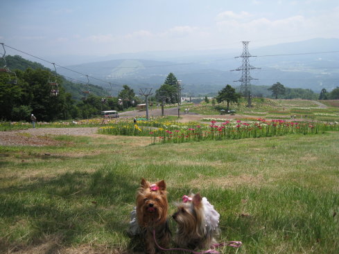 e0027619_20105979.jpg