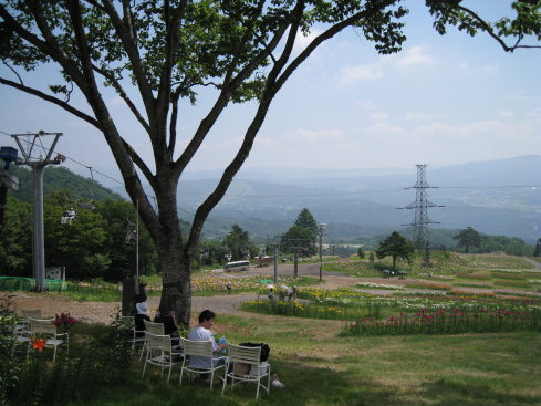 e0027619_20115240.jpg