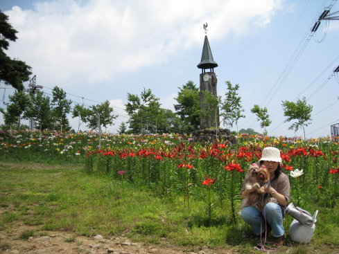 e0027619_20125140.jpg