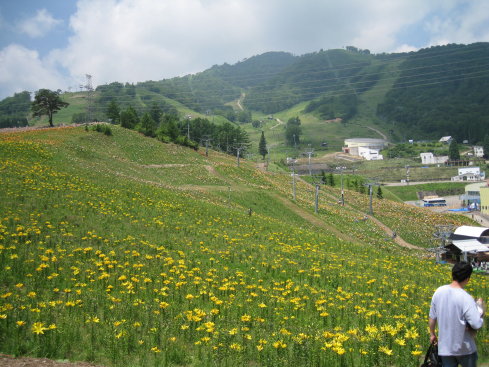 e0027619_20153677.jpg