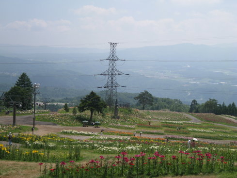e0027619_2095639.jpg