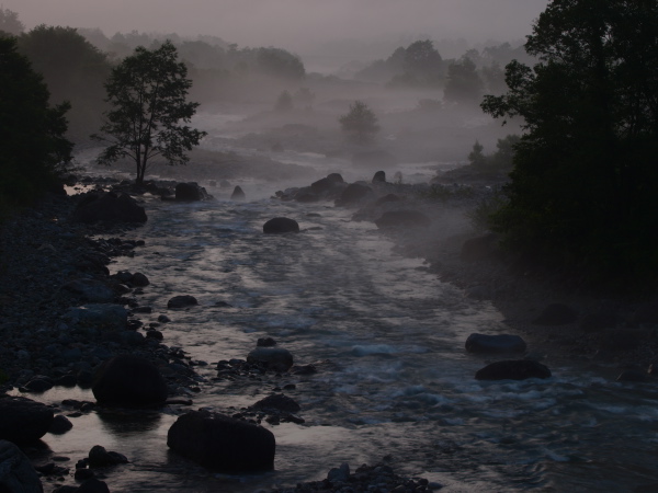c0006928_728695.jpg