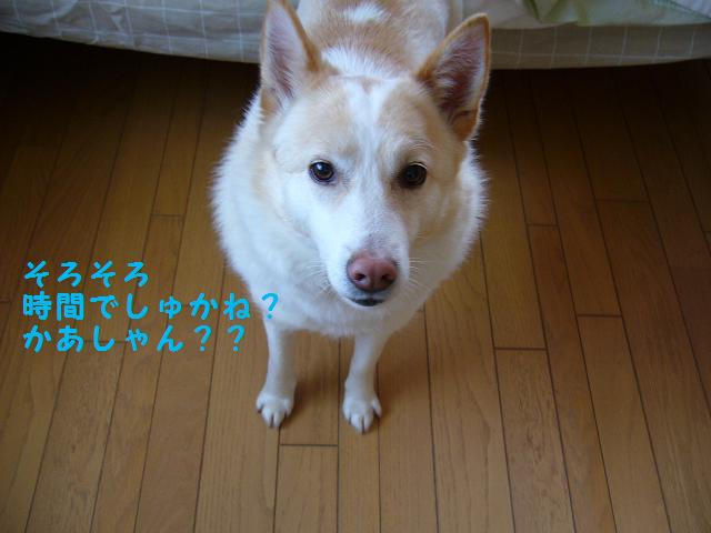 b0138430_21342694.jpg