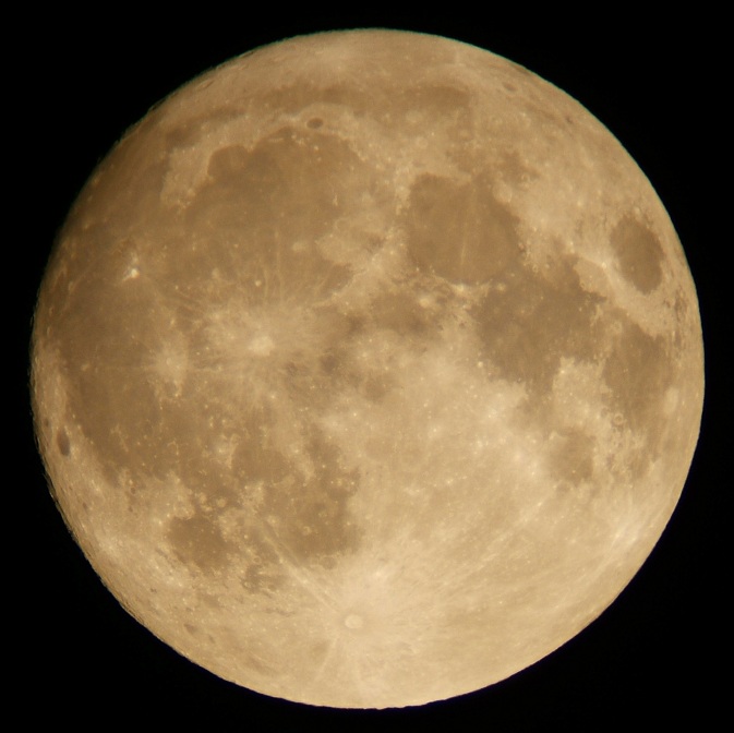e0089232_1131419.jpg