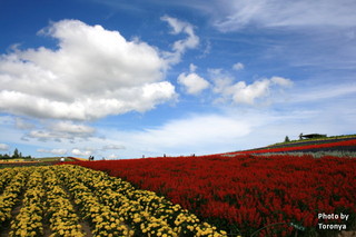 b0152234_08071.jpg