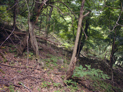 d0110641_20503919.jpg