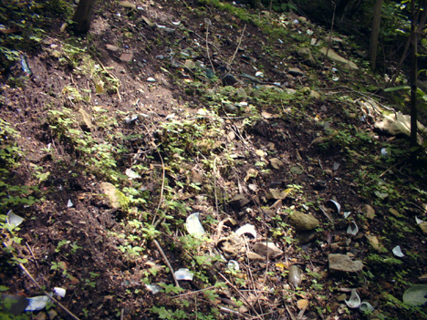 d0110641_20515463.jpg