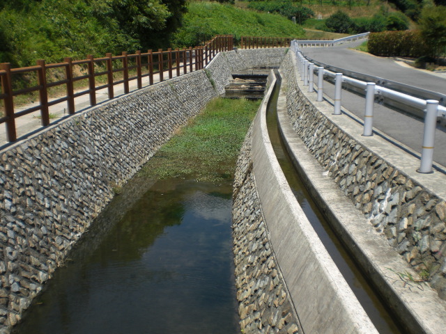 犬飼川・水辺の楽校・・・・・_b0152548_17465754.jpg