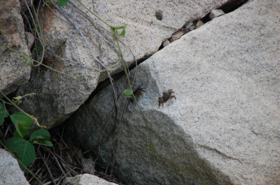 c0108460_21511298.jpg