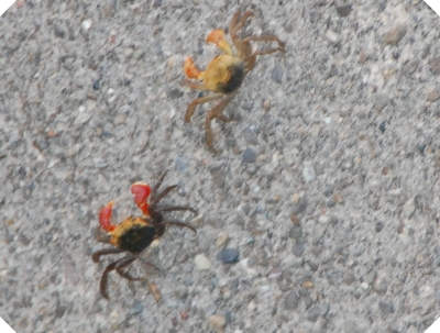 c0108460_21515334.jpg