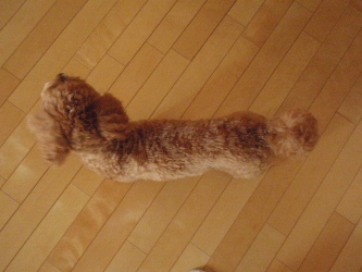 c0135363_2131991.jpg