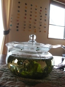 c0135480_172964.jpg