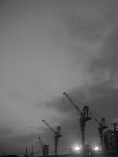 f0100480_21331649.jpg