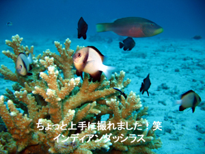 白衣の天使に囲まれて イン ラチャヤイ島!_f0144385_20341651.jpg