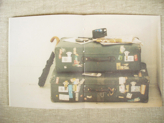 ユーカリTHIS IS A BOOK／限定作品集 インテリアスタイリスト ユーカリ