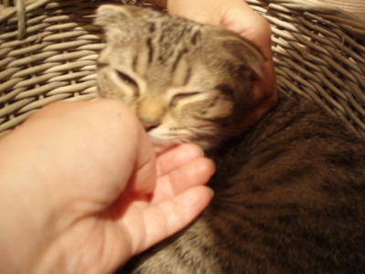c0086895_035646.jpg