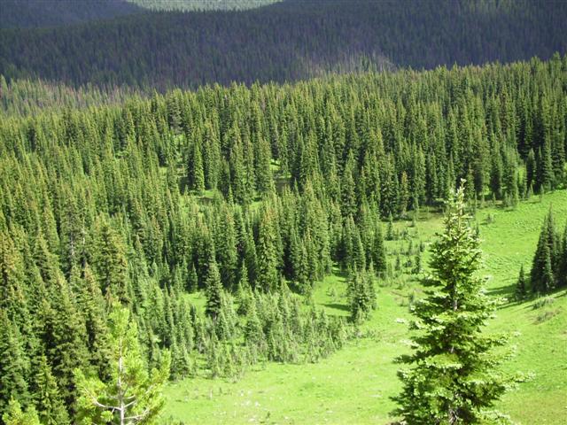 e0064495_16252786.jpg