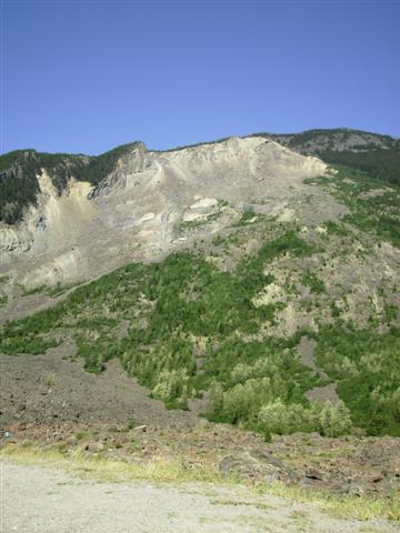 e0064495_1631415.jpg