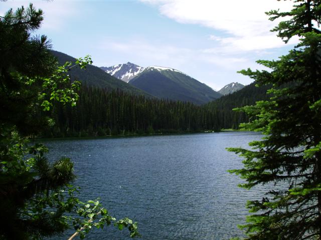e0064495_1644034.jpg