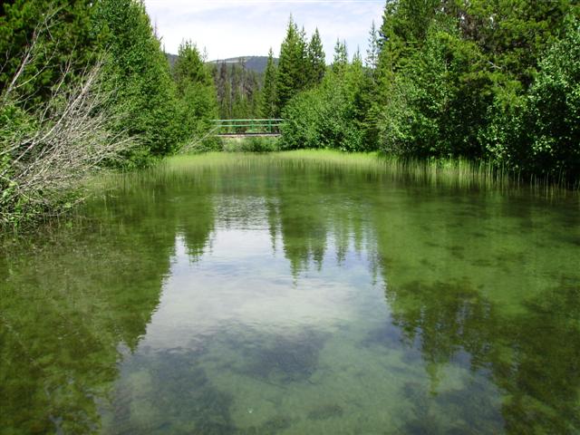 e0064495_167463.jpg