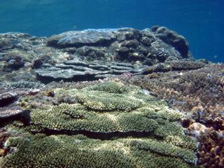 f0075595_10542361.jpg