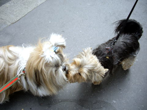 c0090198_1155738.jpg