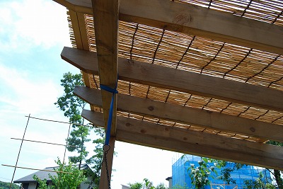 c0124100_14135026.jpg