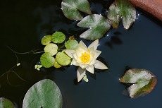 c0124100_14182254.jpg