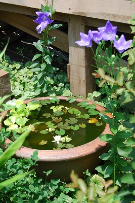 c0124100_1418724.jpg